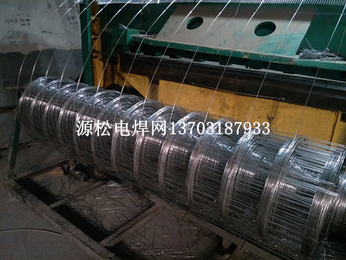 外墻保溫鐵絲網(wǎng)