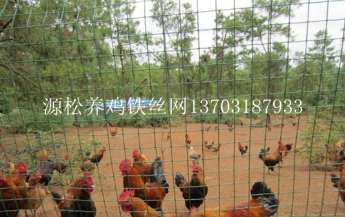 養雞鐵絲網