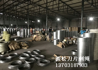 刀片刺繩防護(hù)網(wǎng)