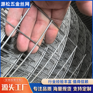 鍍鋅電焊網 鍍鋅電焊網