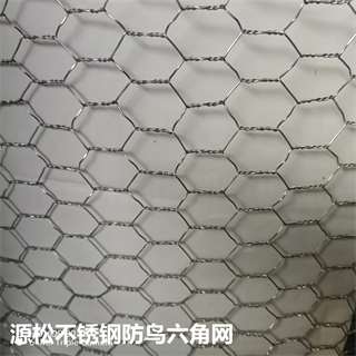 不銹鋼防鳥網(wǎng)