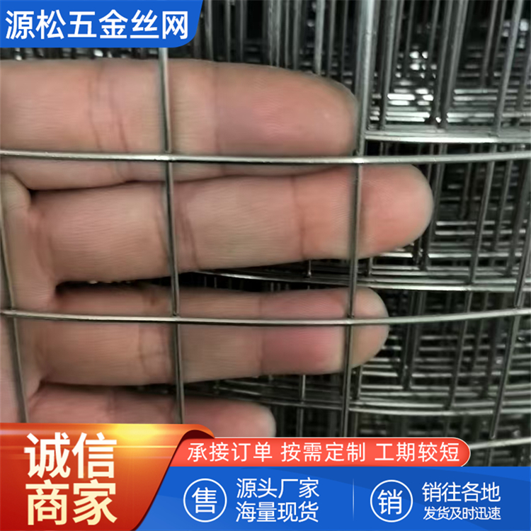 鋼結(jié)構(gòu)不銹鋼電焊網(wǎng)